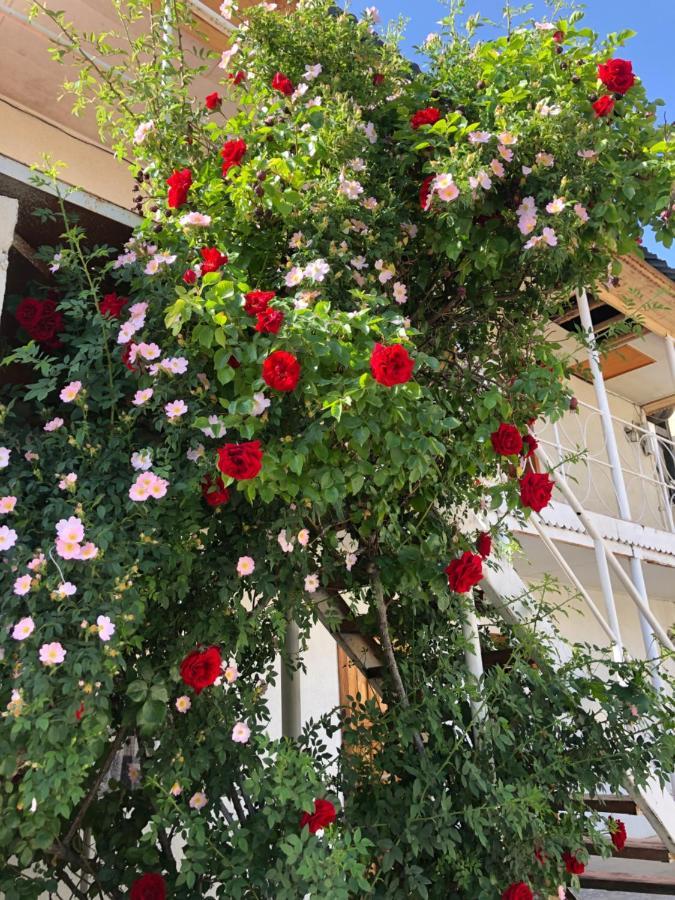 Гостевой Дом Айша Guest House Aisha Tsjolpon-Ata Eksteriør bilde
